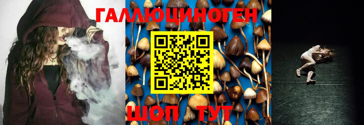 Галлюциногенные грибы GOLDEN TEACHER Новоалтайск